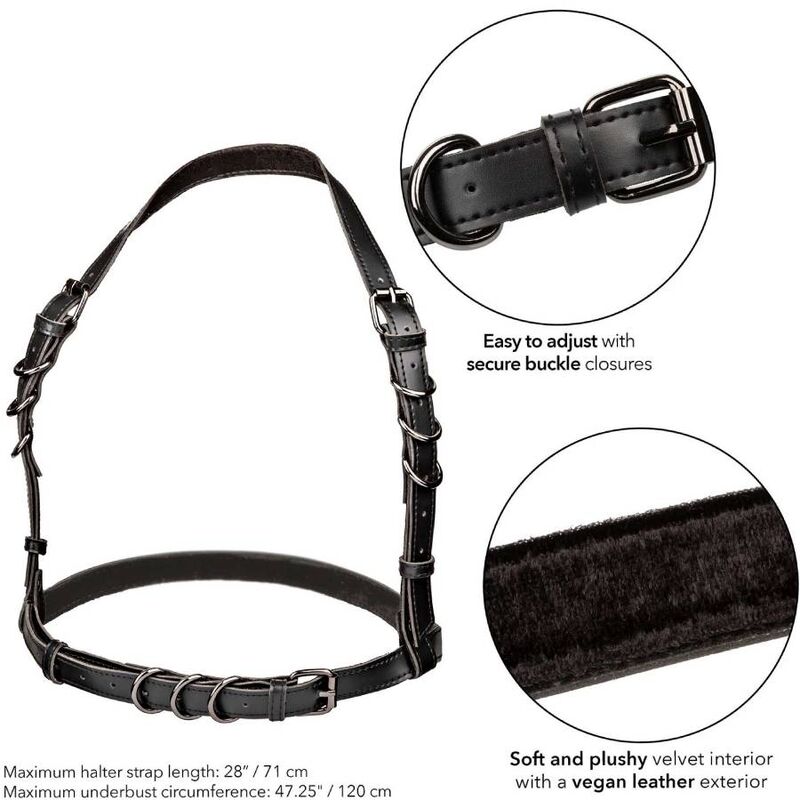 CALEXOTICS - EUPHORIA IMBRACATURA CON FIBBIA PLUS TAGLIA NERA - immagine 5