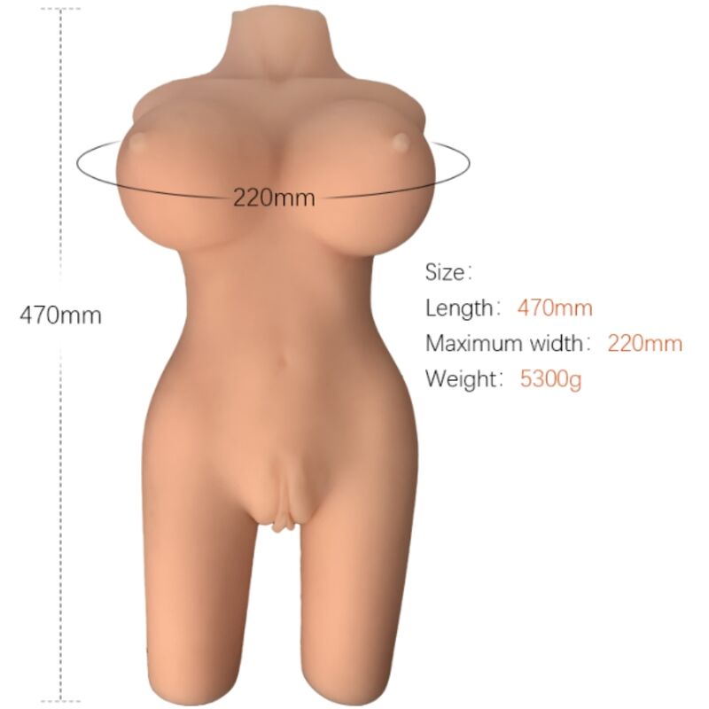 ARMONY - MODELLO REALISTICO DI TORSO FEMMINILE 6 - immagine 2