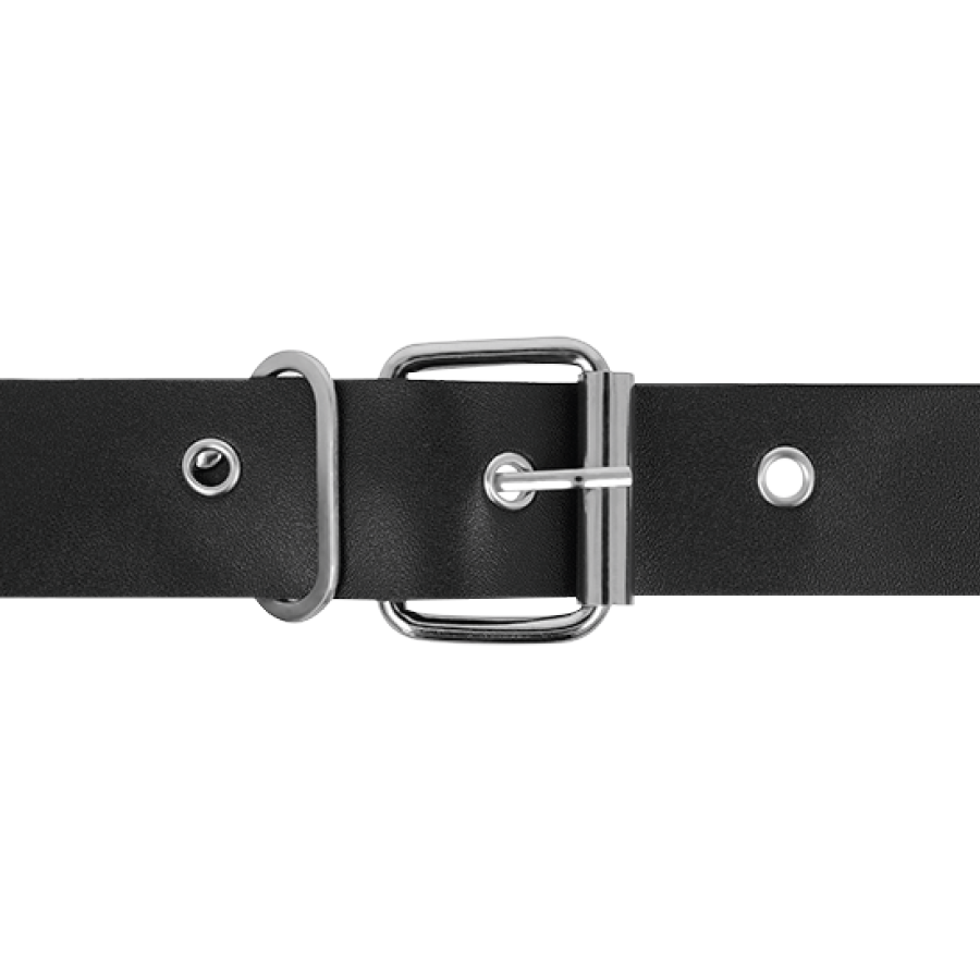 HARNESS ATTRACTION - RNES TAYLOR DELUXE 18 CM -O- 4.5 CM - immagine 4