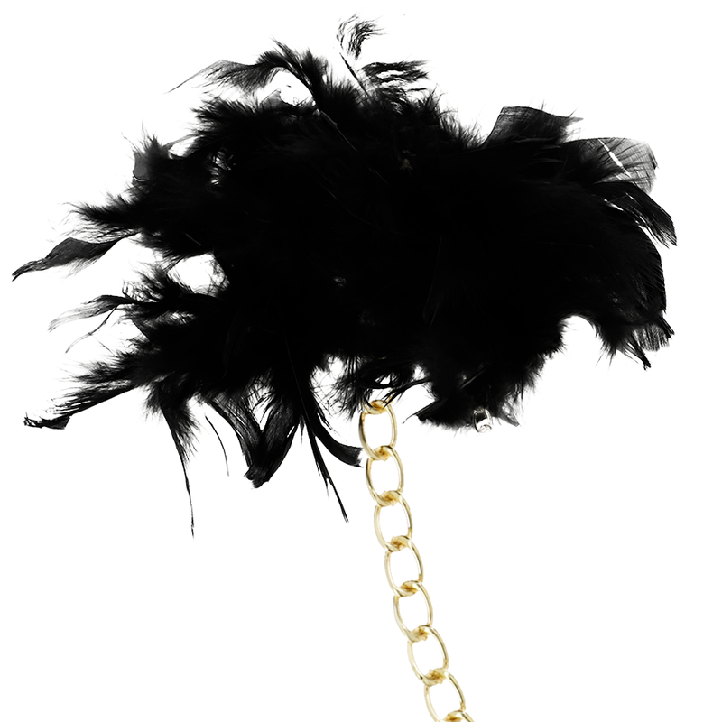 COQUETTE CHIC DESIRE - MANETTE DELUXE - immagine 3