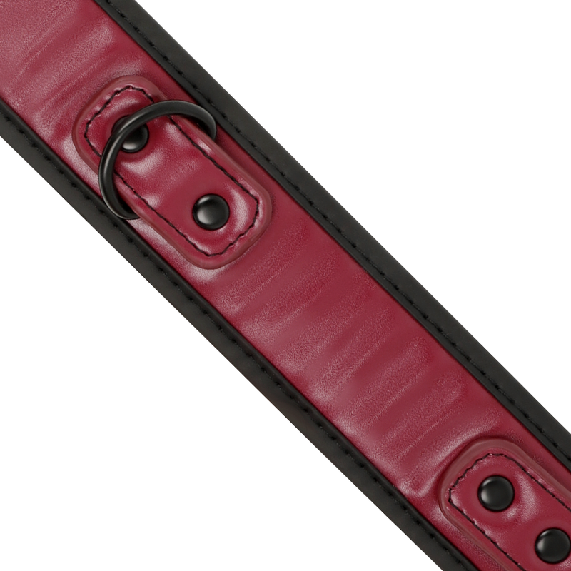 FETISH SUBMISSIVE DARK ROOM - COLLANA A CATENA CON FODERA IN NEOPRENE - immagine 4